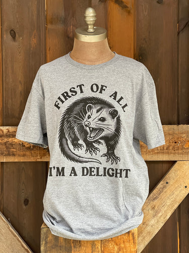 I’m a Delight Tee Angry Minnow Tee grey